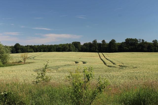 Ferien auf dem Töpferhof