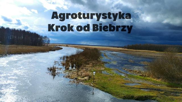 Krok od Biebrzy