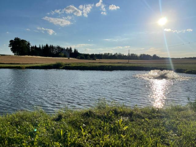 Domki Nad Malowniczym Stawem / Raj Dla Wędkarzy / Mazury