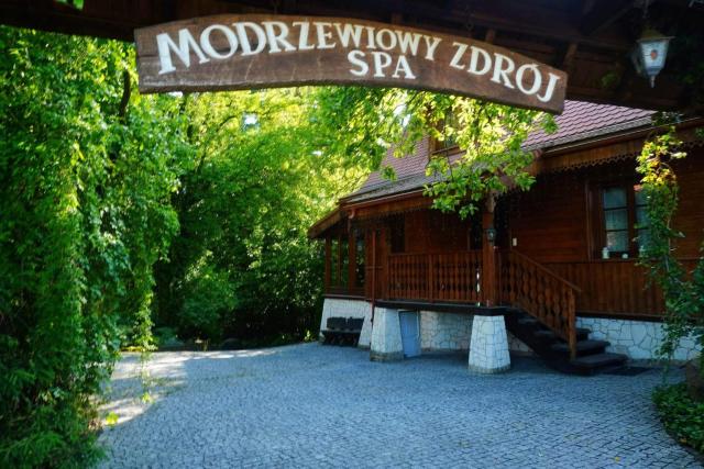 Modrzewiowy Zdrój