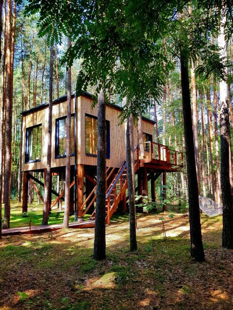 Tree Houses Olszanka