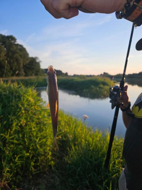 Dom z linią brzegową Narwi 3