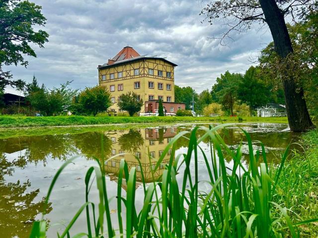 Młyn Witowice