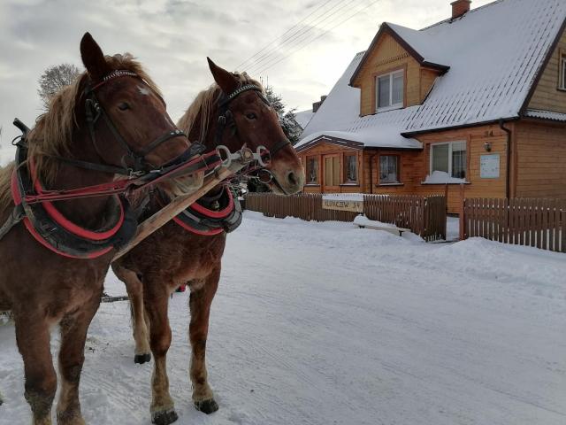 Agroturystyka Wypoczynek nad Bugiem