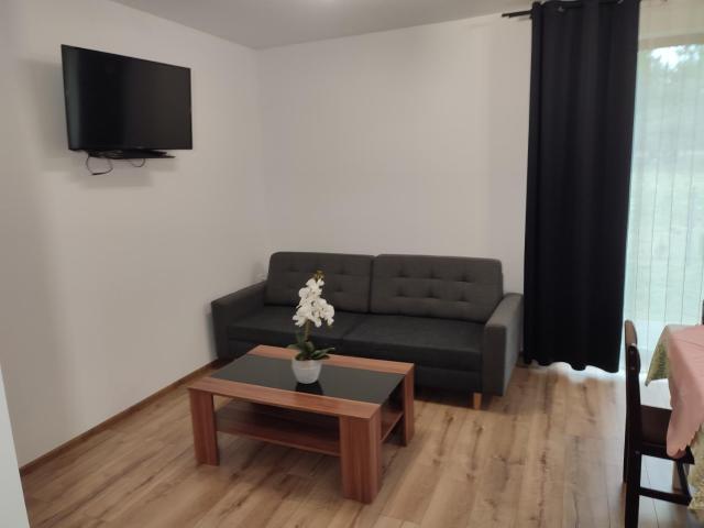 Apartament Wilkowyja Kłecko