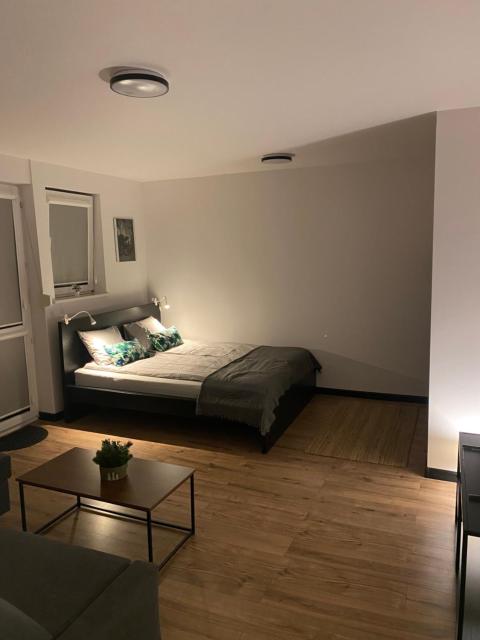 Apartament Arena 5