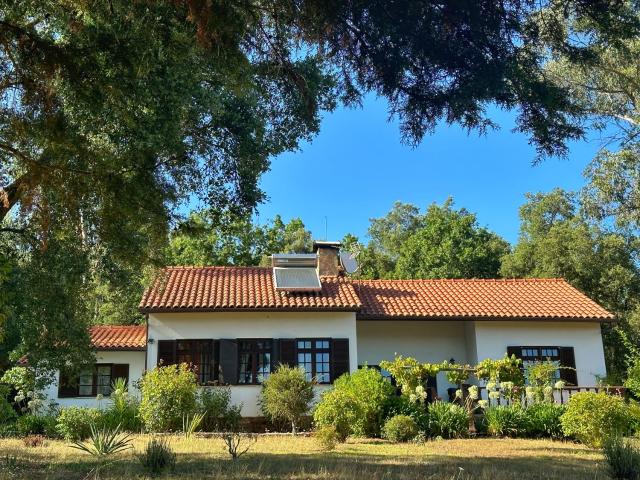 Quinta Do Pereiro