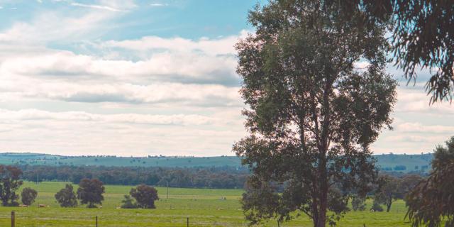 Wagga Wagga Tourist Park