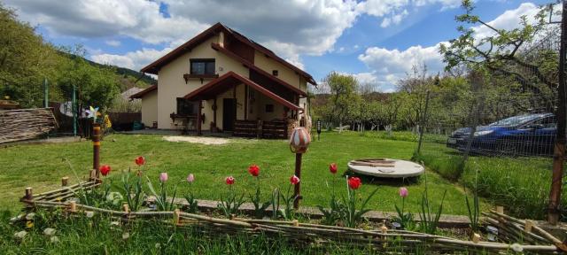 Cottage in traditional village Bradulet, Arges county