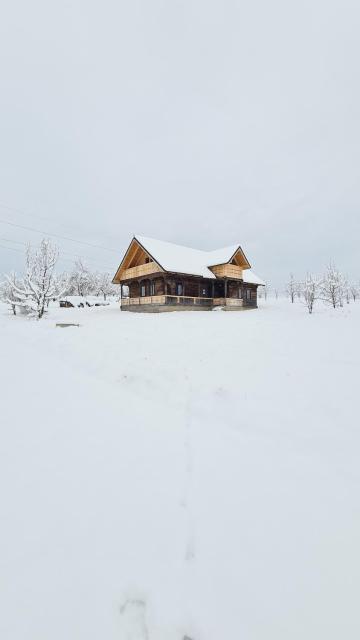 Casa bunicilor din Oncești