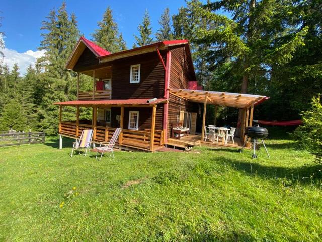 Cosy wooden house in the heart of Apuseni.