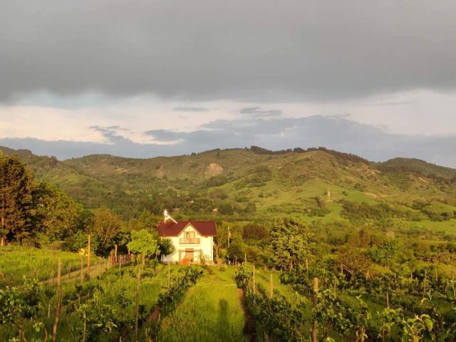 Deleni Retreat - Casa Sitaru