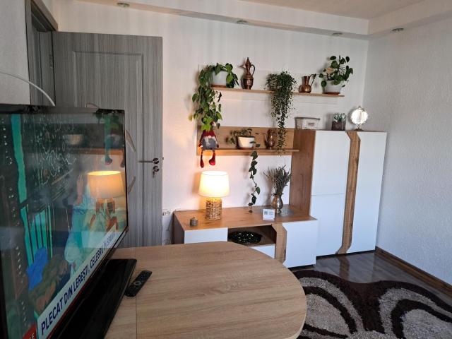 Apartament Medias Metanului