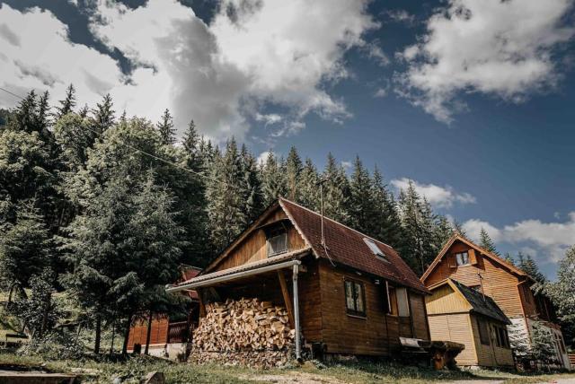 Mountain View Tiny House