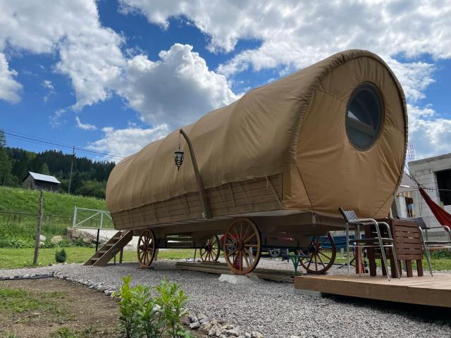 White Spring Glamping