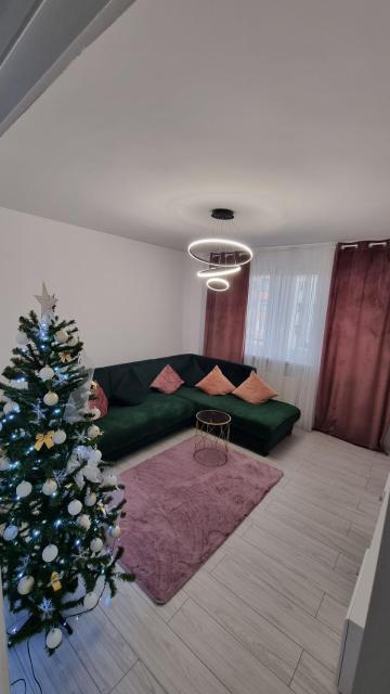 Apartament pe pietonala nr1