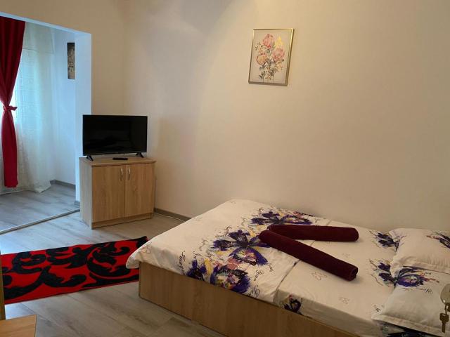 Apartament Costescu