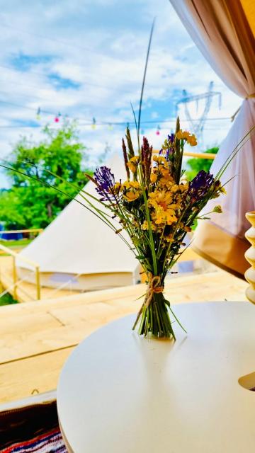 Maramures Glamping Resort