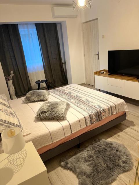 Apartament de lux