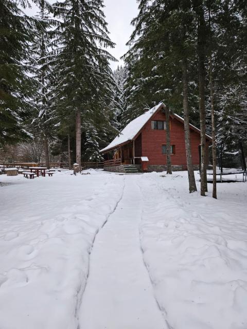 Silent Serenity Mountain Cabin