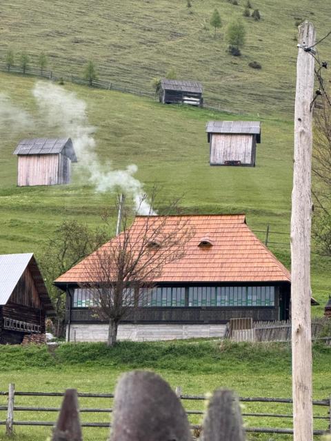 Casa Viorica- Pleta