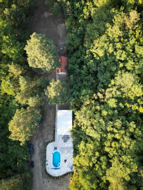 The Woodland pool house