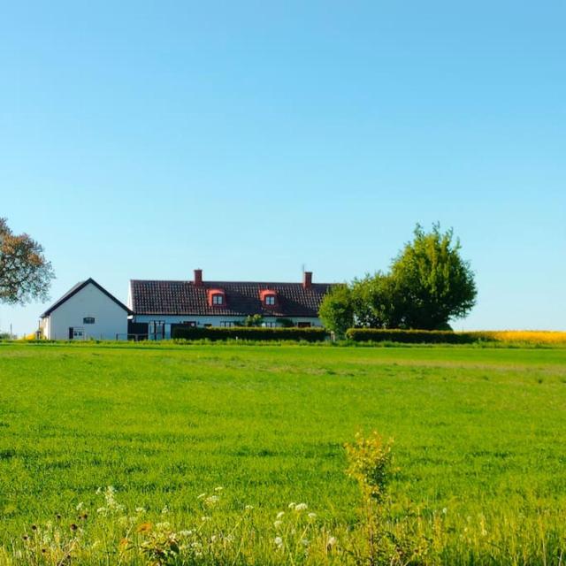 Österlen large house, 7 beds