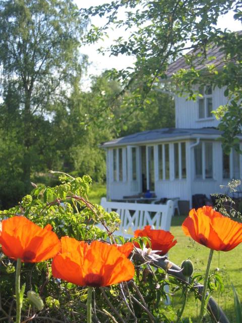 Large villa at the beach, Sweeden, Värmland, 2 hours from Oslo