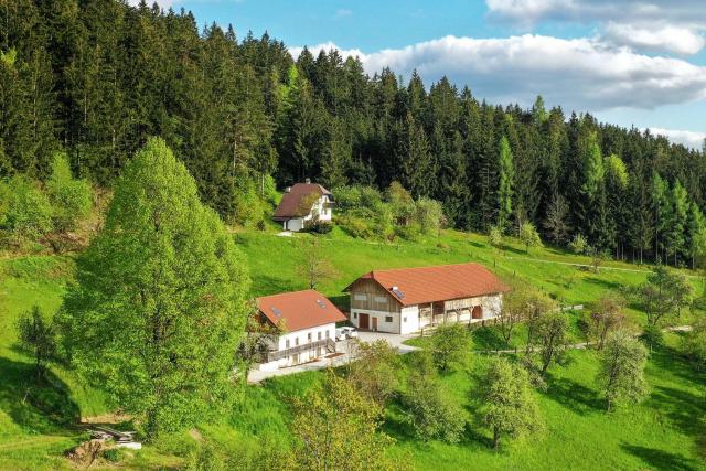 Peaceful Slovenj Gradec Holiday Villa Escape