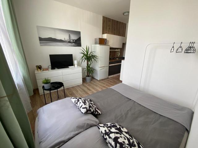 ROVAO Apartment, 1-2 guests, Free Parking & Wifi, 30min from Downtown