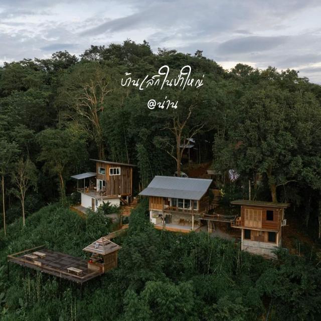 บ้านเล็กในป่าใหญ่ at น่าน Little House In the Forest at Nan