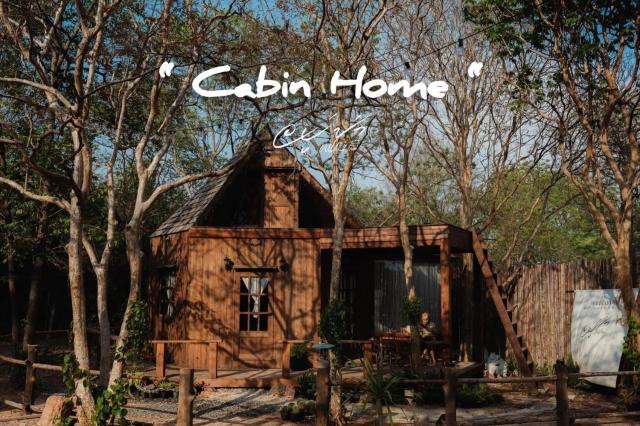 Cabin Home อยู่ป่า wild and free