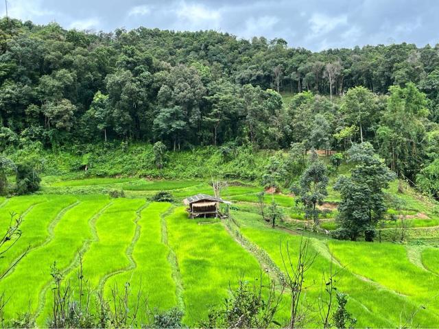 Chibacall, Karen Mountain Hideaway Homestay