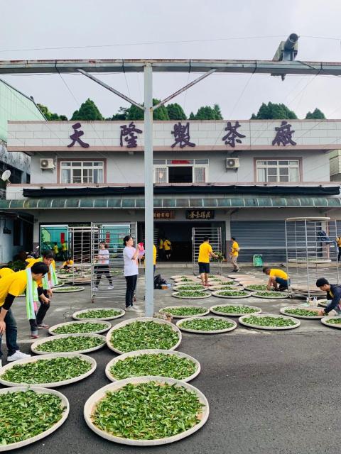 天隆民宿Tian Long Tea Farm HomeStay