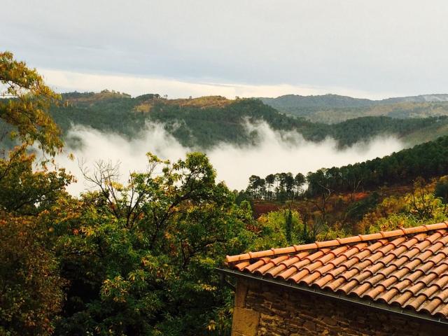 Petite terrasse en Cévennes