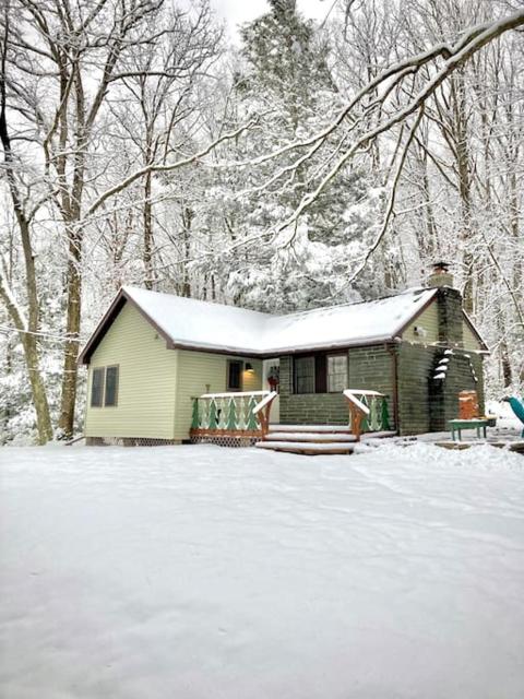 Peaceful Seasonal Wooded Cottage close to everything