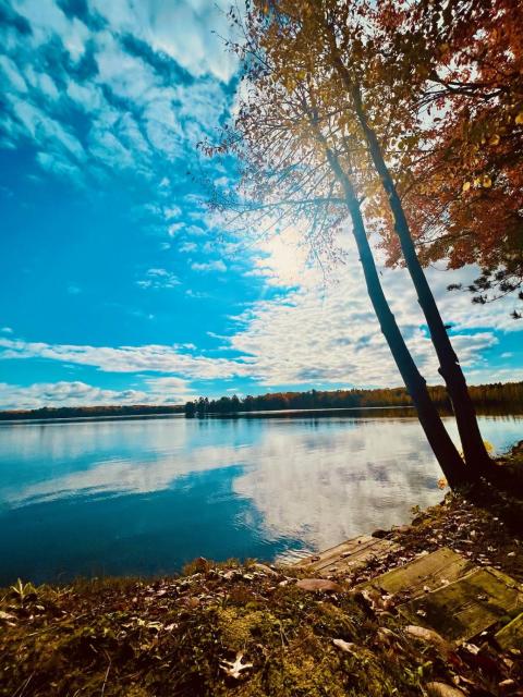 Lakefront Cabin! Relax w/ family and friends!