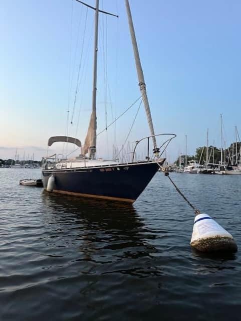 Sailboat Experience in Annapolis