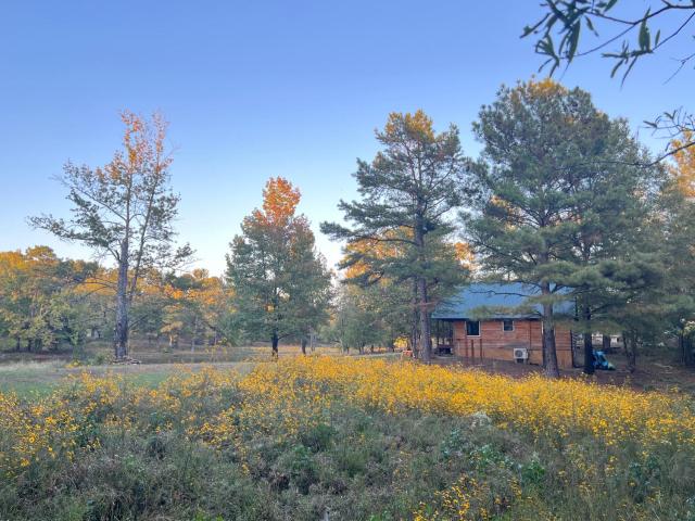 Luxury Cabin with Fishing Pond-Hot Springs