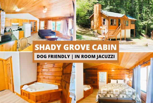 Pet-Friendly Cabin, In-Room Jacuzzi, King Bed, WiFi