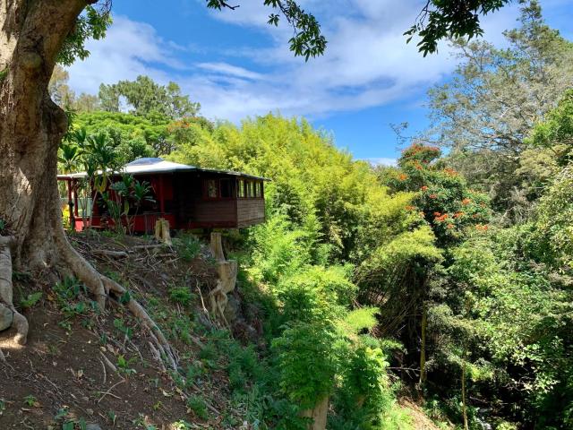 ROMATIC WATERFALL CABIN in the Rainforest