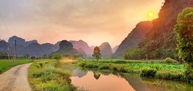 Trang an rice field homestay