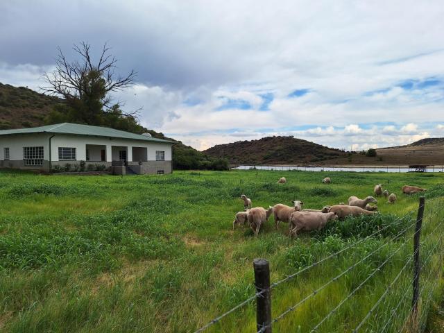 Elberfeld Karoo Lekkerte