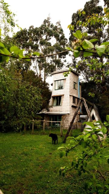 Unique tree house hideaway