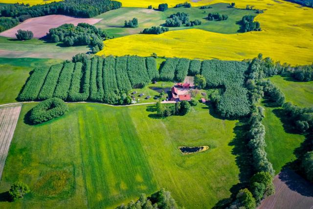 Agroturystyka Dzikie Stawy-Mazury