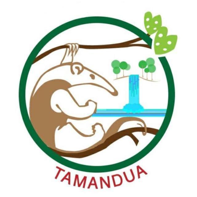 Complejo Ecoturistico Tamandua