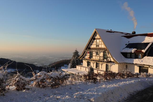 Hotel Grüner Baum