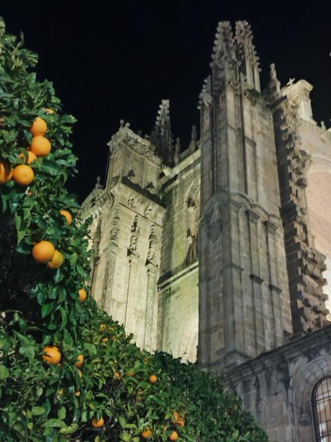 Sol y luna plasencia