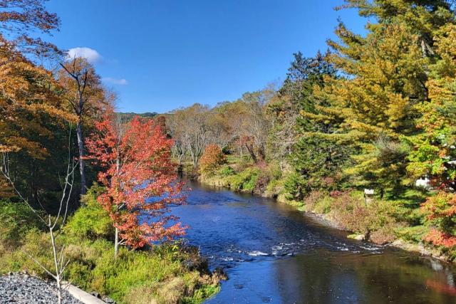 Serenity On The Lehigh