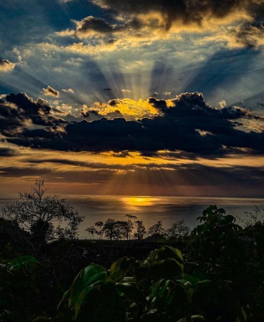 Pura Natura Lodge Manuel Antonio